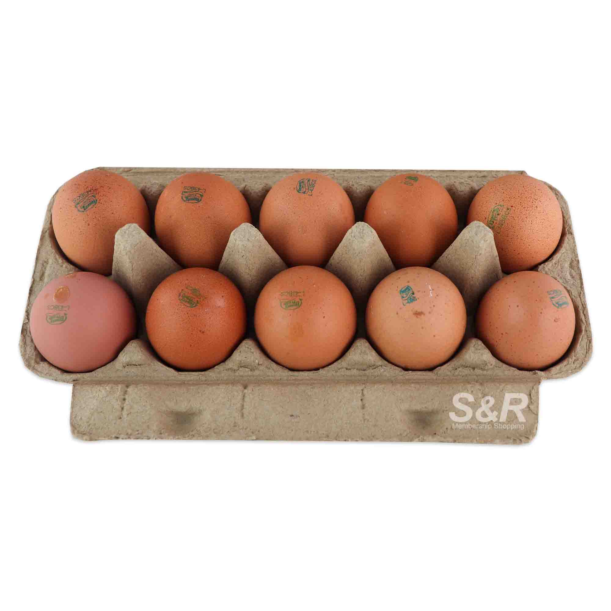 Bounty Fresh Cage-Free Specialty Brown Eggs 10pcs Bounty Fresh Cage-Free Specialty Brown Eggs 10pcs